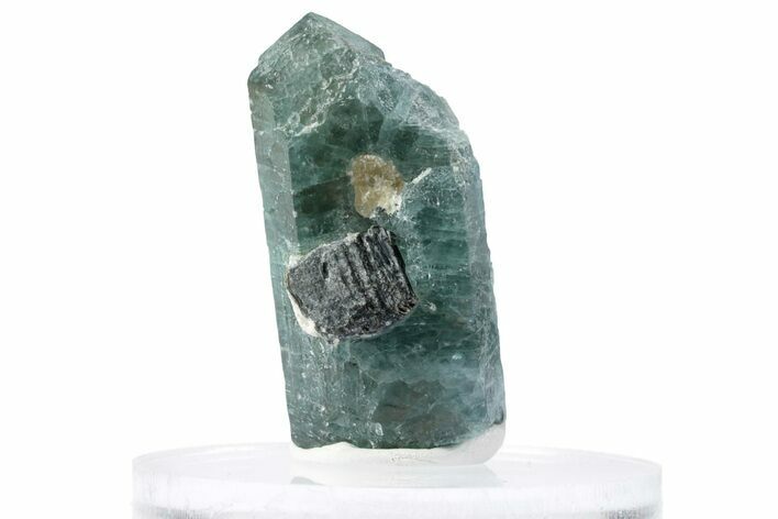 Lustrous Blue-Green Fluorapatite Crystal - Russia #380236